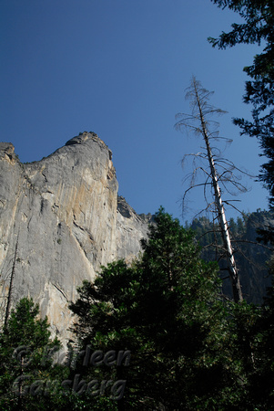 Yosemite - Rocks and trees