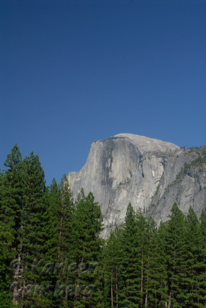 Halfdome - Yosemite Valley View 2