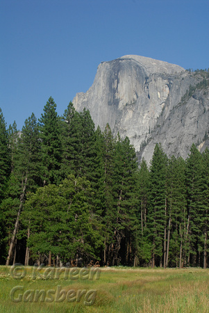 Halfdome - Yosemite Valley View
