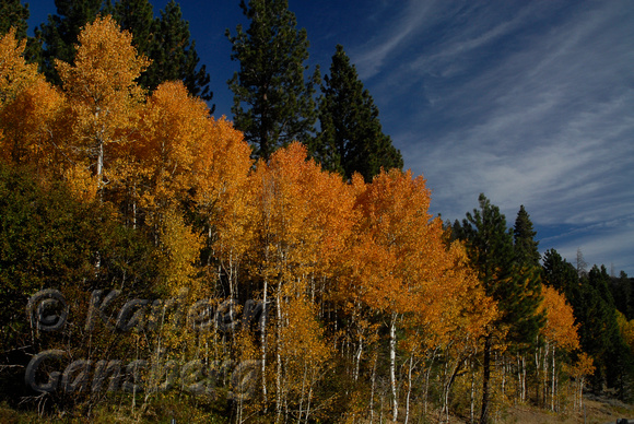 Fall Color and Wisps of Clouds